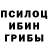 Галлюциногенные грибы Psilocybine cubensis Gleb Rekutin