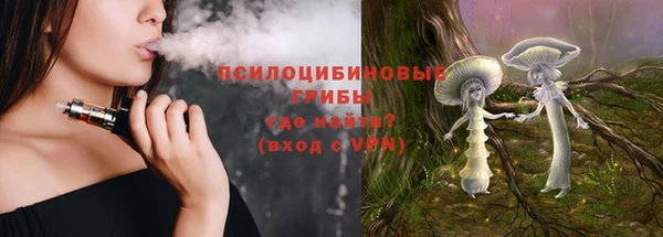спайс Алзамай
